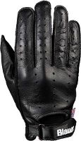 Blauer Caferace, guantes