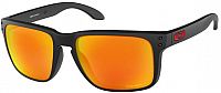 Oakley Holbrook XL, Sunglasses Prizm