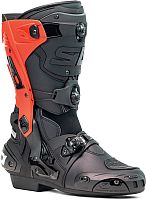 Sidi Rex, bottes