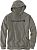 Carhartt Signature Logo, Kapuzenpullover
