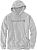 Carhartt Signature Logo, Kapuzenpullover