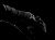 Furygan Aravis 37.5 Primaloft, guantes impermeables