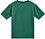 Alpinestars Singular CSF, camiseta