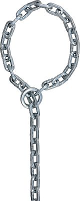 Abus 9KS + Loop, chain