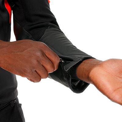 Dainese Racing 5 S26, veste en cuir (36/52)