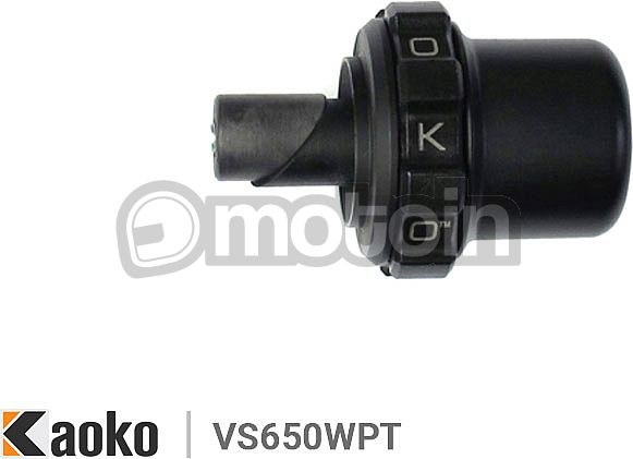 Kaoko VS650WPT, Control de crucero